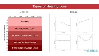 2 Types of Hearing Loss