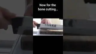 How Japan Prepares Hamo (Pike Conger)｜Bone-Cutting Preview