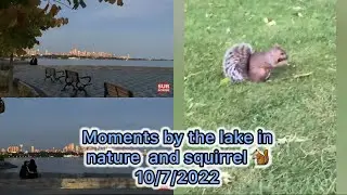 Moments by the lake in nature and squirrel 🐿 10/7/2022