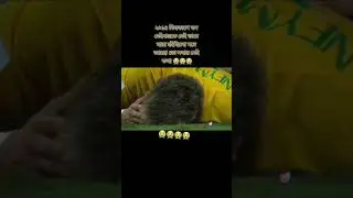 2014 বিশ্বকাপে বস নেইমার কে কি ভাবে মারা হয়েছিল। 😪😪😪 #shorts #football #viral #foryou #foryoupage