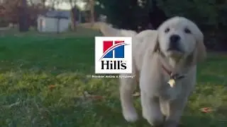 Hills Science Plan