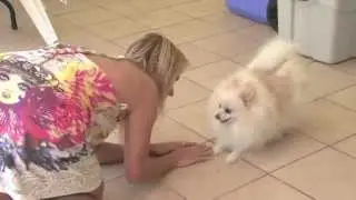 Jenny Scordamaglia - Best Friend Forever Season 1 South Florida