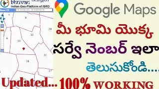 Find Your Land Survey Number on Google Map in Seconds with EASY Steps 2025