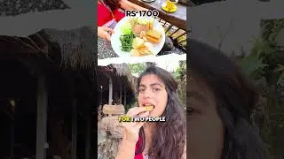 Exploring a Unique Lions Cafe in Bali.... What Occurred Next?! #shorts #bali