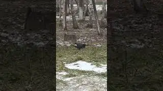 Нычка, как правильно