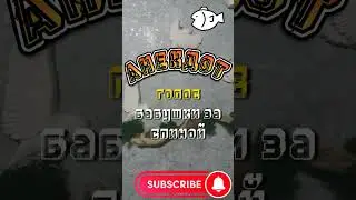 Анекдот😅Одесса Семья рыбачит.