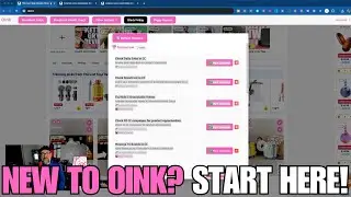 New to Oink for Influencers? Start Here!