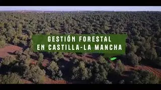 Sierra albacete murcia
