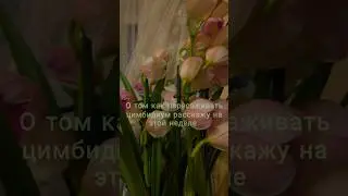 Подпишись, чтобы не пропустить видео 