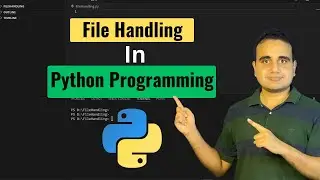 File Handling in Python Programming | Python File Handling
