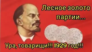 КОП МОНЕТ НА ПЕРЕПУТЬЕ ЗАБЫТЫХ ЛЕСНЫХ ДОРОГ....