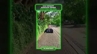 Комар | меллстрой