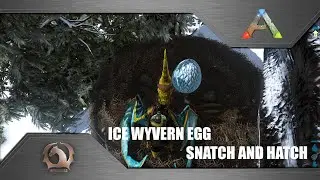 Ark Survival Evolved - Ice Wyvern egg snatch and hatch