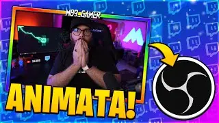 Creare una WEBCAM OVERLAY ANIMATA senza nessun programma?