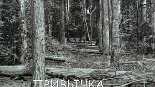 ПРИВЫЧКА