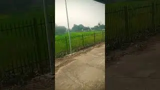 araria to Forbesganj