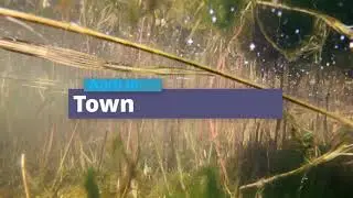 April in town time lapse