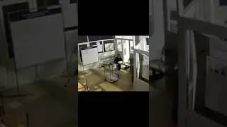 ВРОСЫ НА «ВЫБОРАХ»