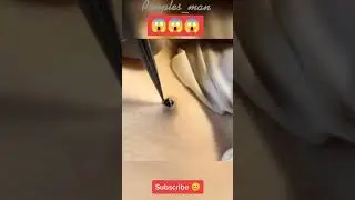 камедоны