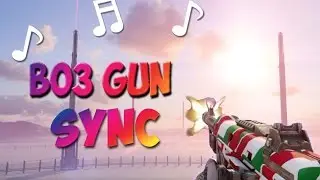 BO3 Gun Sync(Intro-The XX)