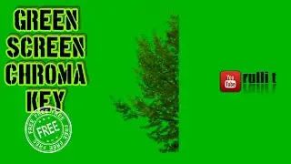 Green Screen FX- TREE FROND animation 🔊