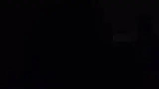 Arctic Bear Pulling Bonsais original song