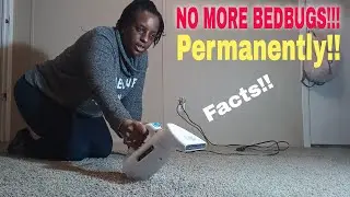 HOW TO GET RID OF BEDBUGS | PERMANENTLY | Facts!