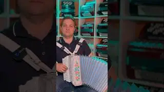 О каком городе песня? #гармонь #гармонист #бутусов