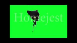 Miraculous Ladybug green screen.