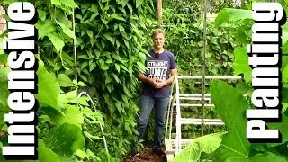 Intensive Planting: Beyond Seed Packet Spacing