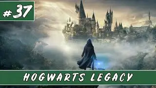 Hogwarts Legacy | 