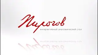 Интерактивный анатомический стол  для медицинского образования