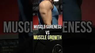 Muscle soreness does not equal muscle growth #shorts #fitness
