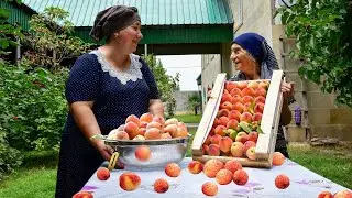 Rainy Village Day | Making Natural Peach Juice, Jam and Peach Cake