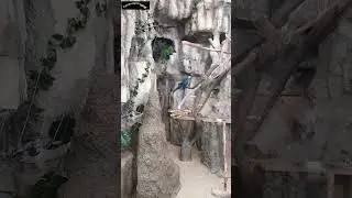 Minsk 2023.  Zoo
