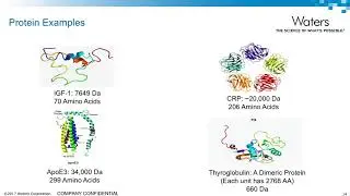 Introduction to Peptides and Proteins for Bioanalysis Using LC-MS