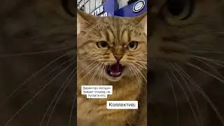 подписывайтесь 🤭
