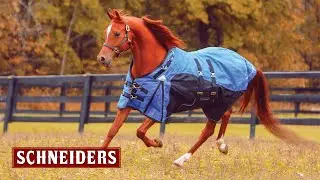 ARMORFlex® Cutback Turnout Horse Blankets - Schneider Saddlery