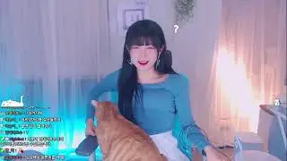 [클립] [눈누남규] 우리 고양이는 돈준다고 물지않아....아ㅏㅏㅏㅏ!!! [2022-01-21 핫클립1위]