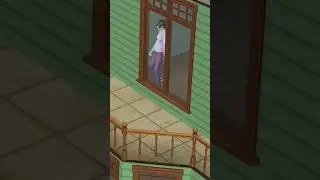 The Sims 2 Окна