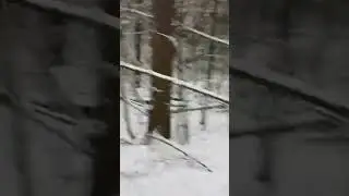 МОРЕНА, МАРА - БОГИНЯ ЗИМЫ И СМЕРТИ. ВЕДЬМИНА ИЗБА ИНГА ХОСРОЕВА.