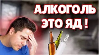 Смертельный Выбор  Матрица самоотравления  Реабилитация зависимых