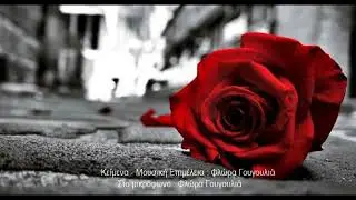 Το κανάλι του Δ.Ζ.Γουγουλιά