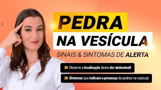 Pedra na Vesícula - Sinais e Sintomas de Alerta