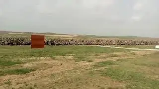 Сарыагаш медресе колледж 1