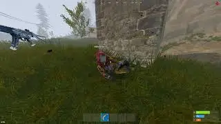 Rust kids are a different breed