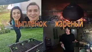 Темнота  и цыплёнок  на костре!! Слушаю советы зрителей!