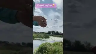 Риболовля