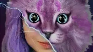 Koshka Lana Кошка Лана