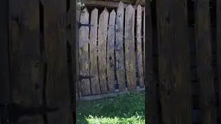 Усадьба Лебедь Турочак Республика Алтай Часть 320 #Shorts